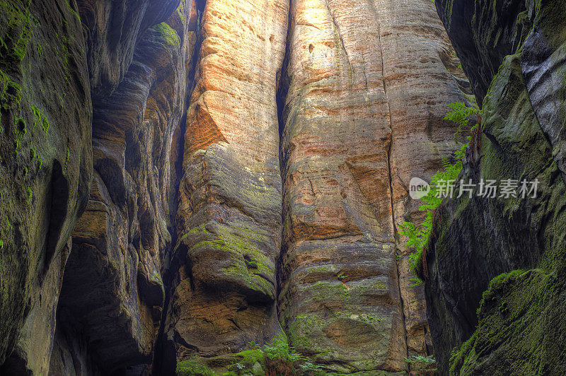 Teplice Rocks，捷克共和国